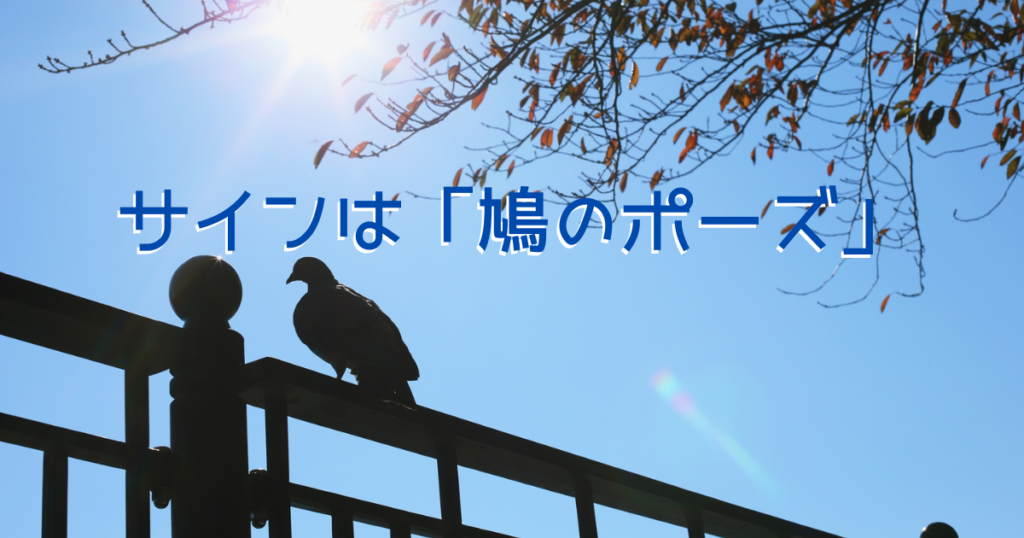 映画の鍵となる「鳩のポーズ」をイメージした、鳩のシルエット画像
