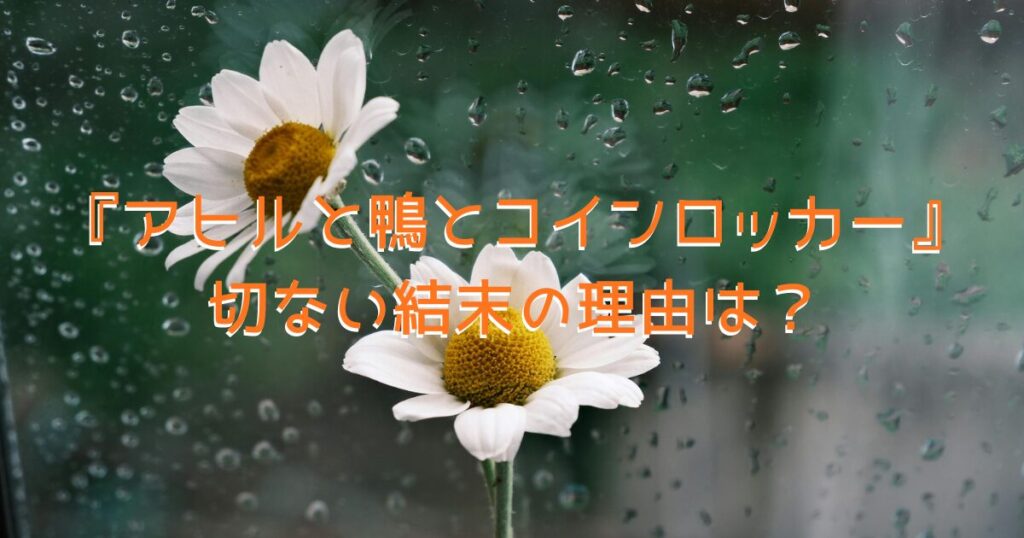 映画『アヒルと鴨とコインロッカー』の結末をイメージした、雨に濡れた窓辺に2輪の花が飾られている画像