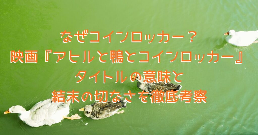 映画タイトルをイメージした、アヒルと鴨が池を泳いでいる画像