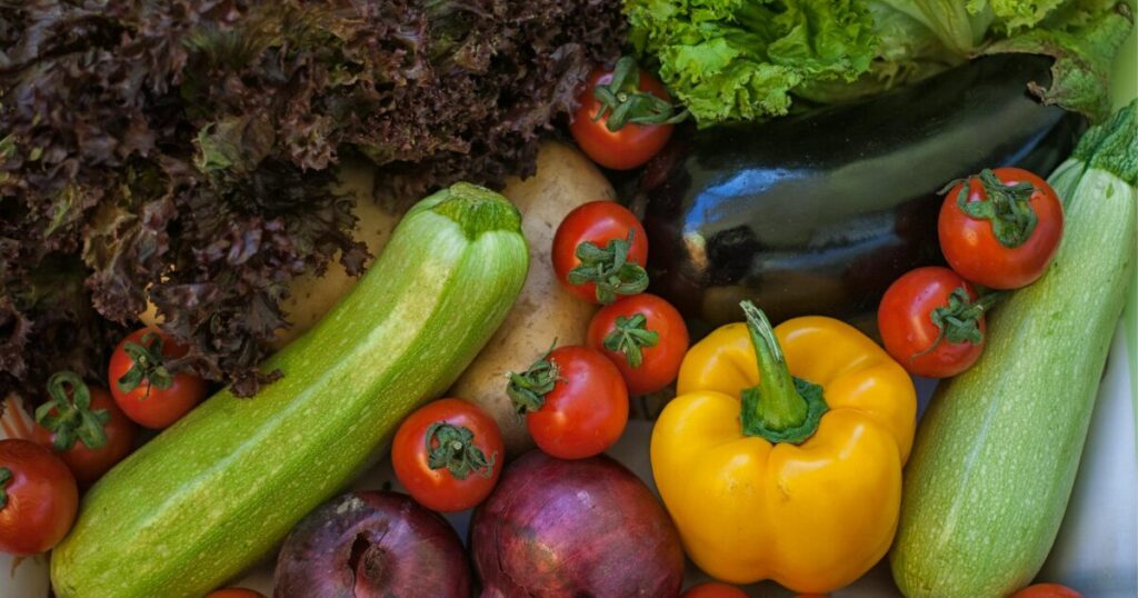 季節感や「旬」をイメージした、トマトやナス、ズッキーニ、レタスなどのみずみずしい夏野菜の画像